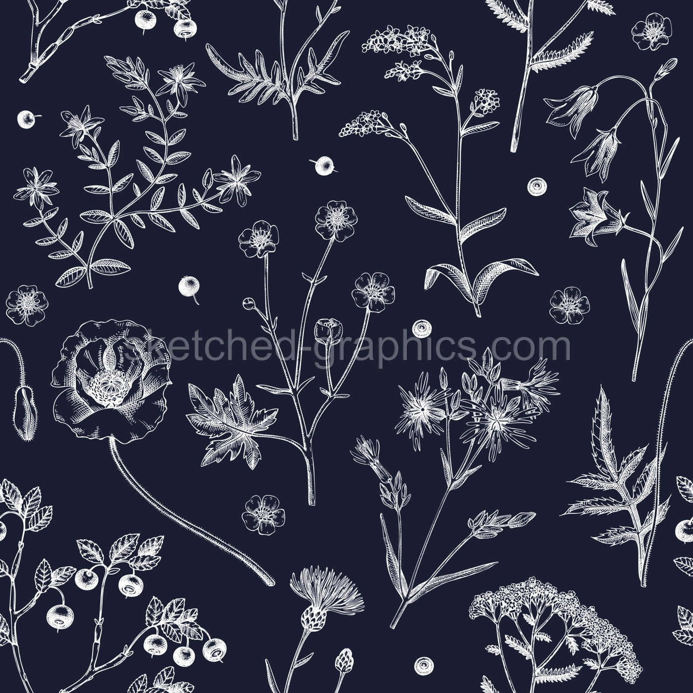 Summer background with flowers and berries. Wildflowers seamless pattern in sketch style. Herbs, meadows, flowering plants vector illustrations. Floral design in engraved style for textile or fabric Illustration